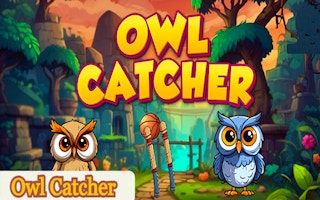 Image Owl Catcher